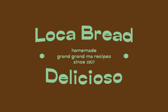 Borchy Reverse Contrast Display Sans Font