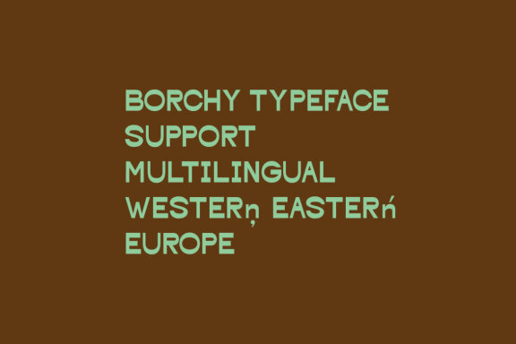 Borchy Reverse Contrast Display Sans Font