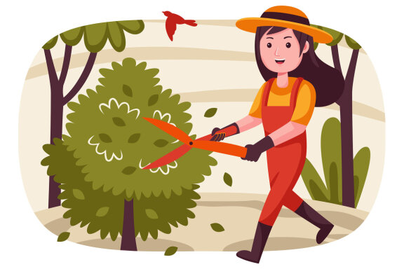 Farm Vector Illustration #17