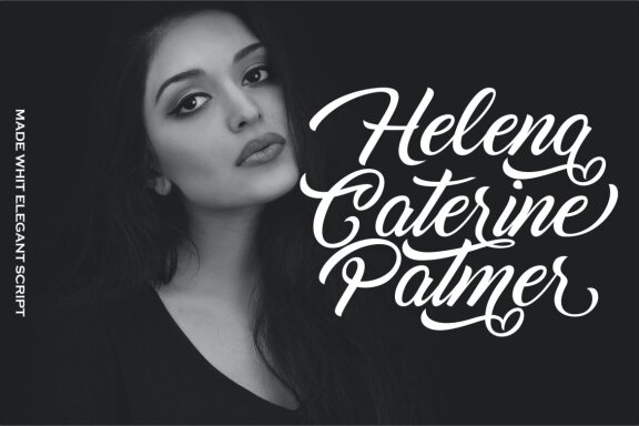 Elegant - Modern Brush Script