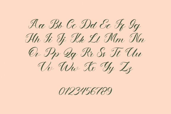 NCL LETS WENDY - Romantic Elegant Script 