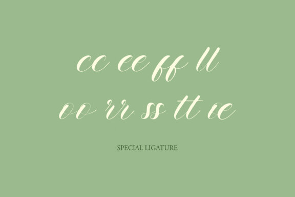 NCL LETS WENDY - Romantic Elegant Script 