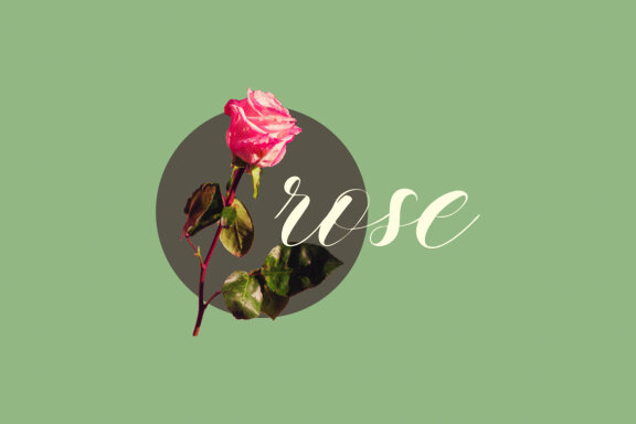 NCL LETS WENDY - Romantic Elegant Script 