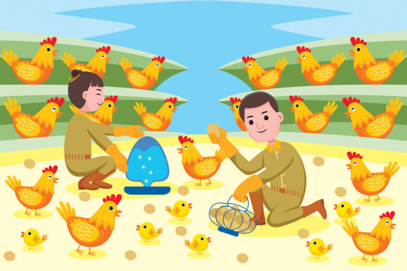 Chicken Farmer Profession