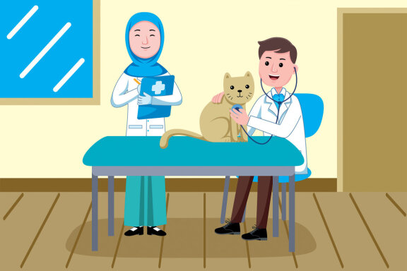 Veterinarian Profession