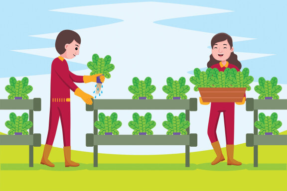 Farmer Profession