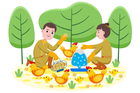 Chicken Farmer Profession