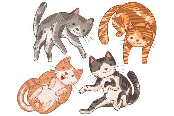 Lazy Cat Vector Illustration