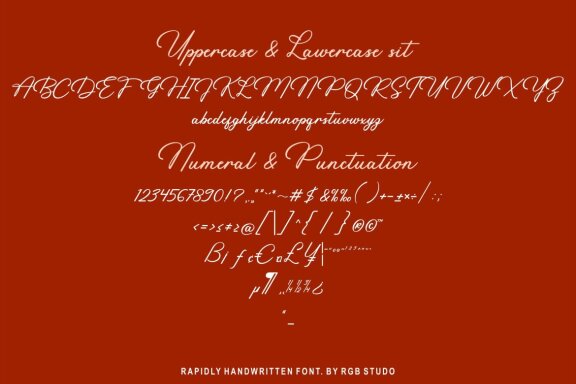 Rapidly - Signature Font