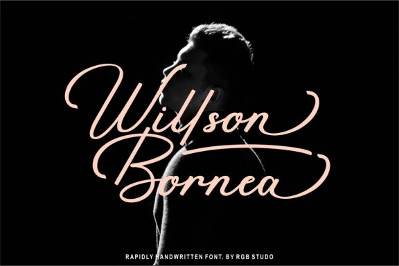 Rapidly - Signature Font