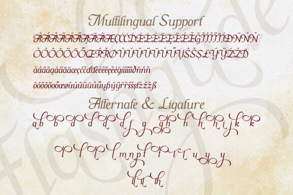 Flashgude - Script