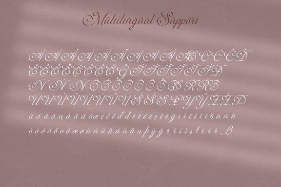 Kalina - Calligraphy Script