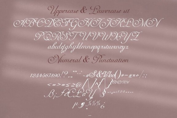 Kalina - Calligraphy Script