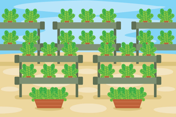 Hydroponics Vector Illustration