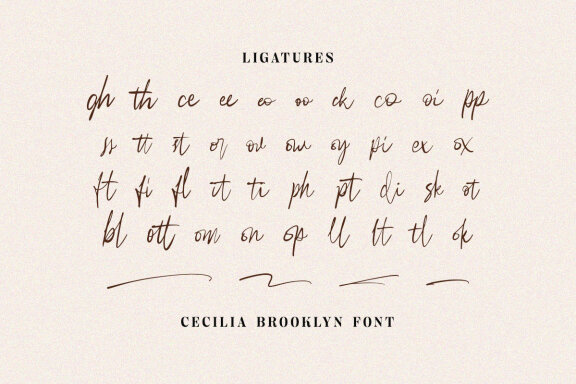 Cecilia Brooklyn - Handdrawn Script