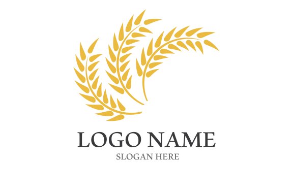 Wheat logo vector icon illustration design