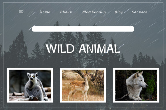 Wild Cat