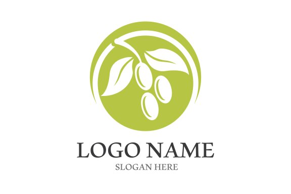 Extra virgin olive oil logo design vector illustration