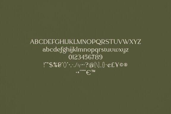 Roald creative font