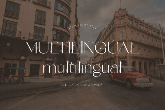Vardgeon Modern Sans