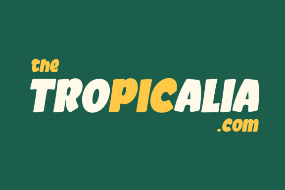 Fatlip Handwritten Display Font