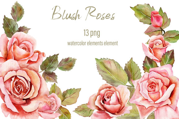 Watercolor pink roses clipart