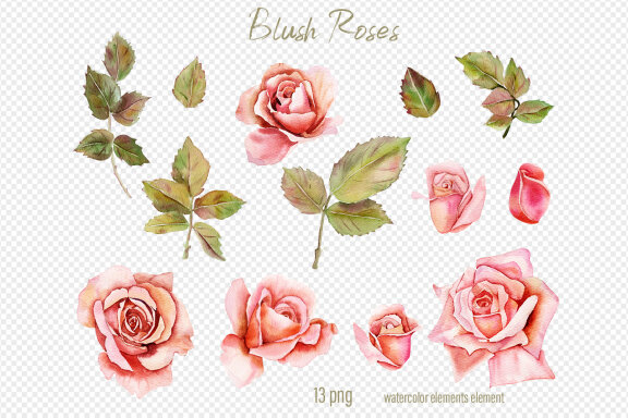 Watercolor pink roses clipart
