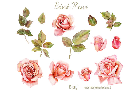 Watercolor pink roses clipart