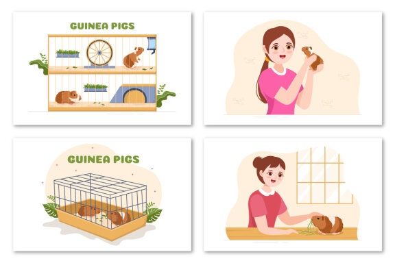 10 Guinea Pig Pets Illustration