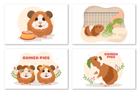 10 Guinea Pig Pets Illustration