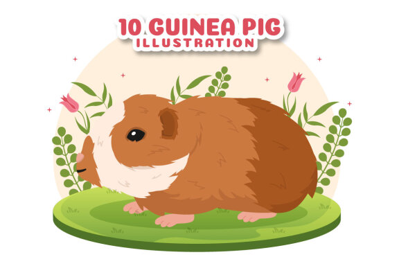 10 Guinea Pig Pets Illustration