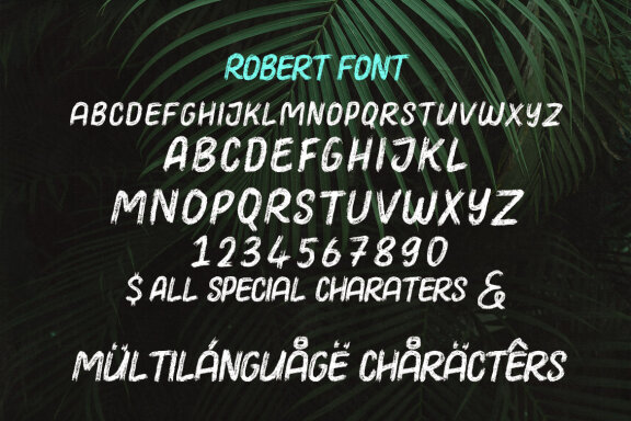 Robert Casual Brush Font