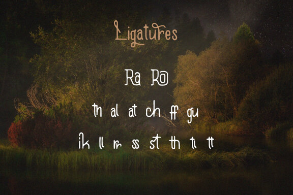 Solid Walls - Rough & Vintage Font