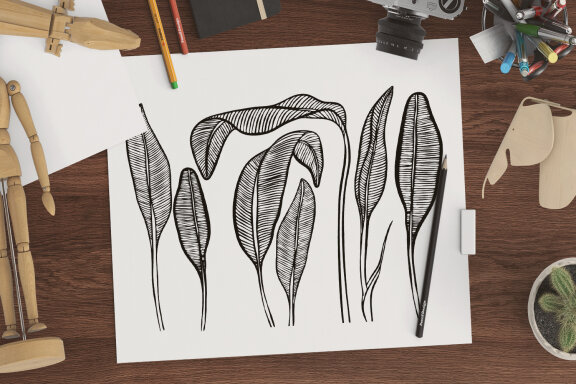Tropics Coloring Pages