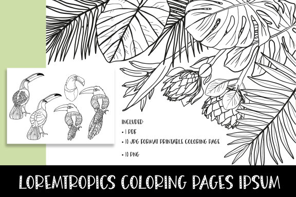 Tropics Coloring Pages