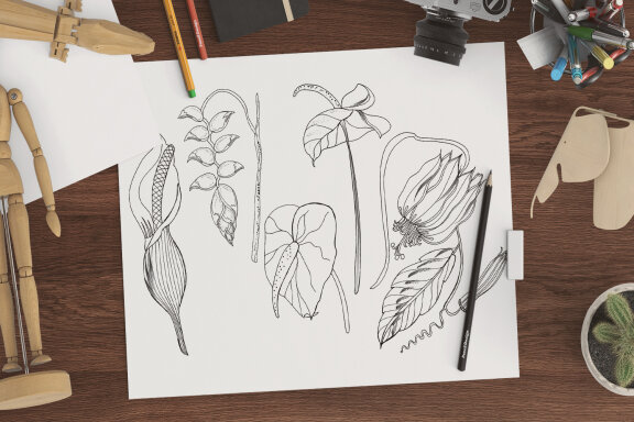 Tropics Coloring Pages