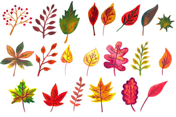Watercolor Cliparts Autumn Leaves