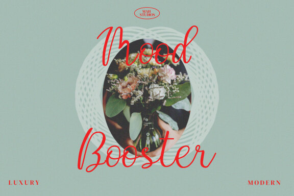 Sky Bloom Script Fonts