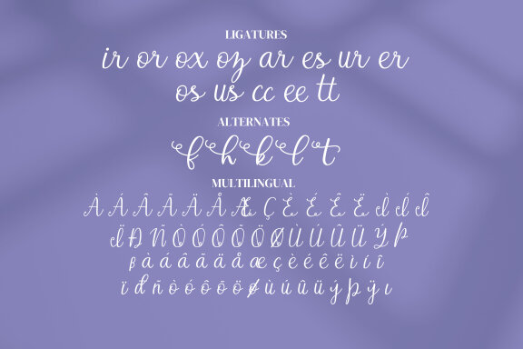 Sky Bloom Script Fonts