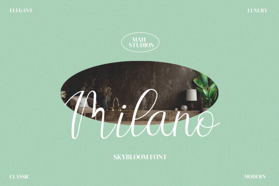 Sky Bloom Script Fonts