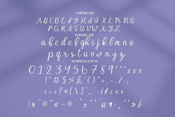 Sky Bloom Script Fonts