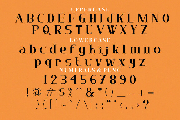 Feasdeav Serif Fonts
