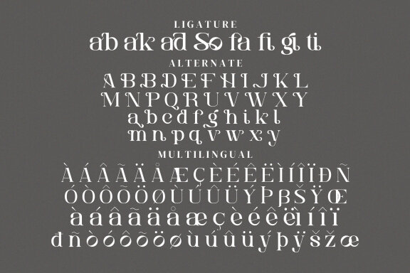 Bakuga Serif Fonts