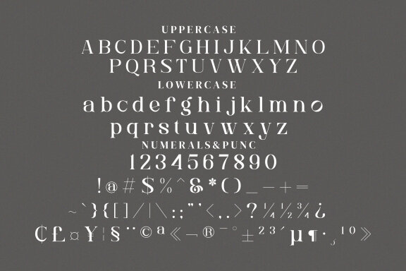 Bakuga Serif Fonts