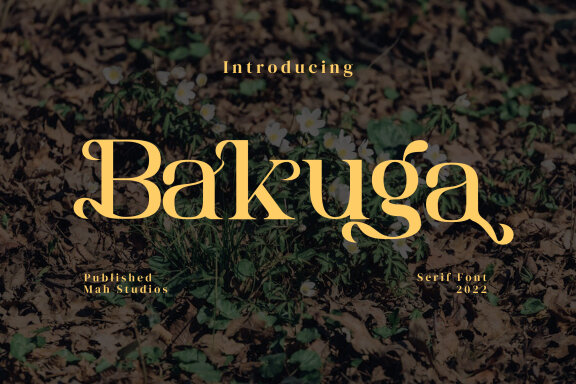 Bakuga Serif Fonts