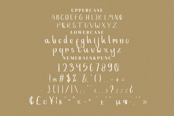 Evellyn Fonts
