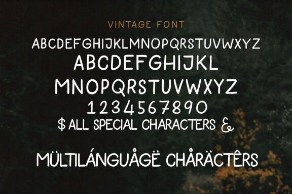Vintage Handwritten Marker Font