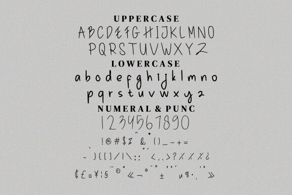 Rushting Script Fonts
