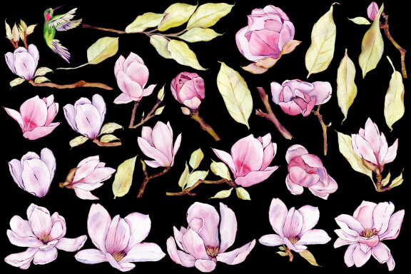 Watercolor pink magnolia flowers clipart Romantic bouquet