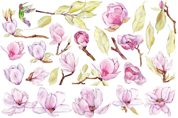 Watercolor pink magnolia flowers clipart Romantic bouquet